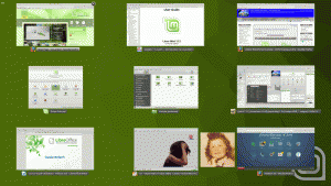 Linux MINT 17.2 LTS | Cinnamon 2.6 Coins intelligents