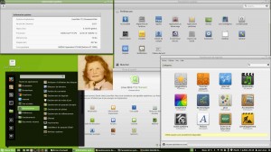 Linux MINT 17.2 LTS 64-b | Cinnamon 2.6.11