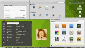 Linux MINT 17.2 LTS 64-b | Cinnamon 2.6.11