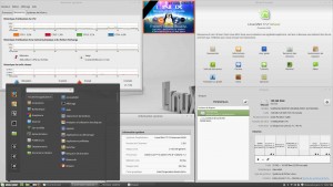 Linux MINT 17.2 LTS 64-b | Cinnamon 2.6.8