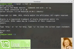 Serveur MySQL 5.5 | Linux Mint 17.2 LTS