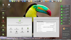 Linux MINT 17.3 LTS 64-b | Cinnamon 2.8.6 | Kernel 3.19