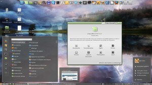 Linux MINT 17.3 LTS 64-b | Cinnamon 2.8.6