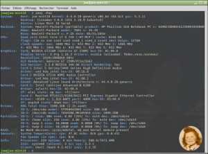 Linux MINT 18 - Cinnamon 3 : Commande "inxi -Fxz" dans un Terminal