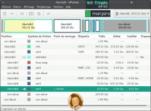 Manjaro 16.10 : État de mon 2ème disque dur après l'installation de la distribution. L'installeur Calamares a merdé grave !